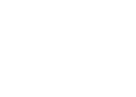 sfe-logo-white-trans